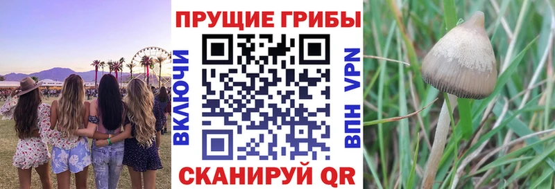 Галлюциногенные грибы мухоморы  darknet какой сайт  Воскресенск 